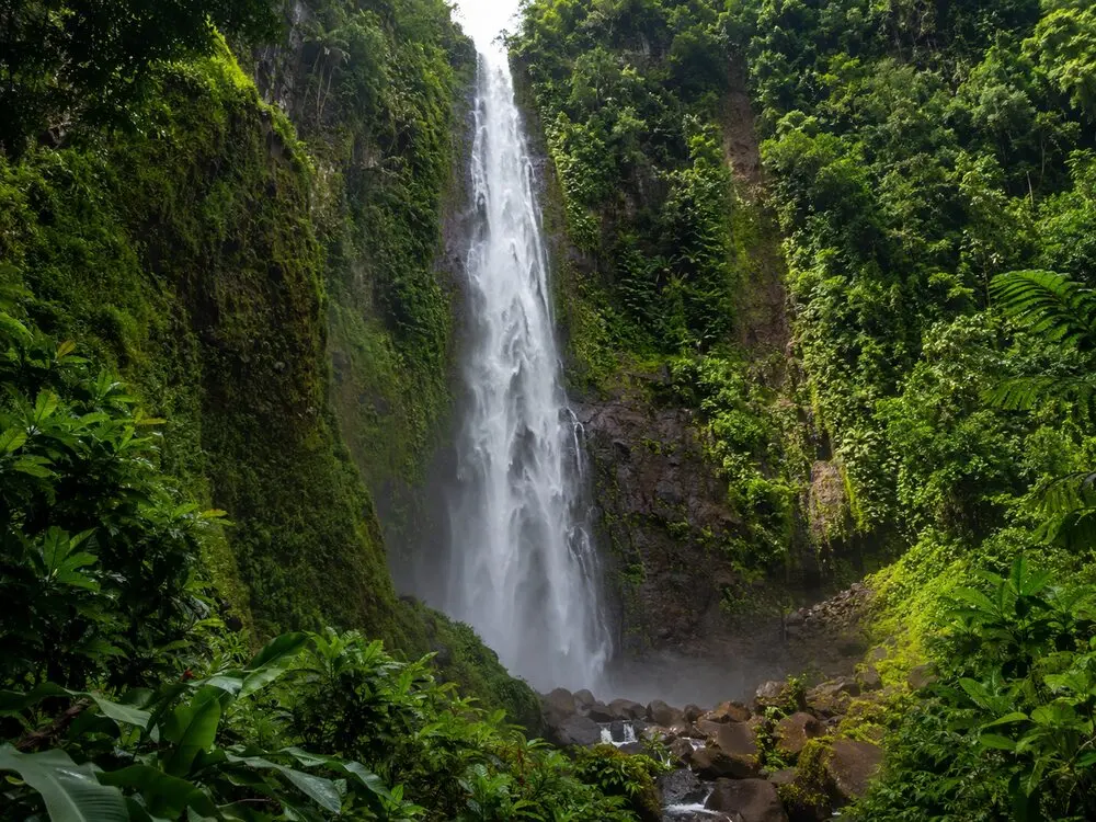 Chutes du Carbet avec sa verdure tropicale et ses rochers.