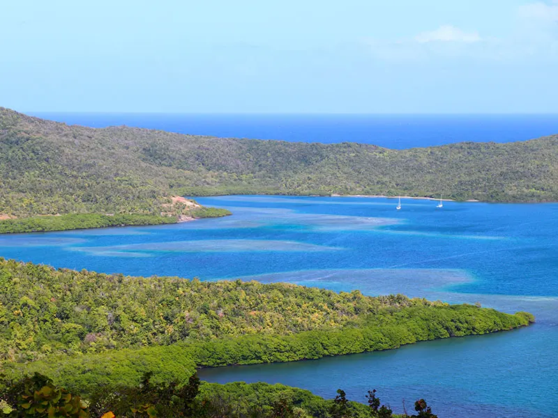 Baie des Anglais à Sainte-Anne en Martinique : lagon bleu vif entouré de collines verdoyantes sauvages et de mangroves.