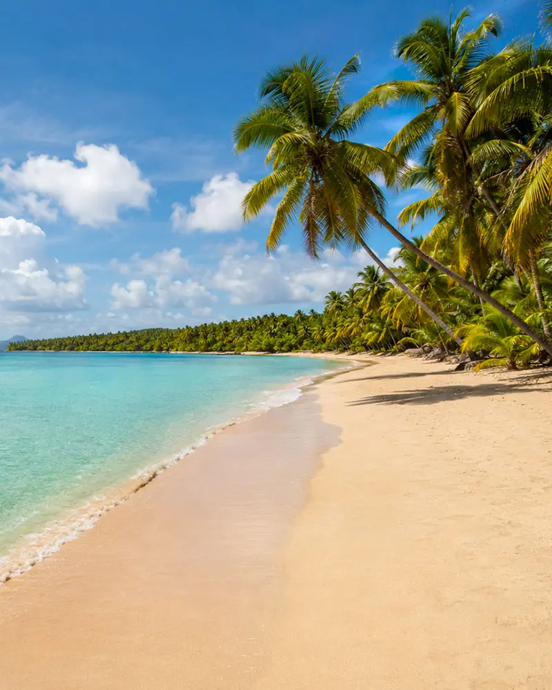 Grande anse des salines, Sainte-Anne, Martinique