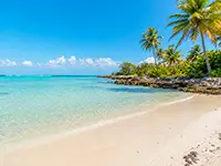 plage calme en Grande-Terre avec des cocotier et sable fin , guadeloupe