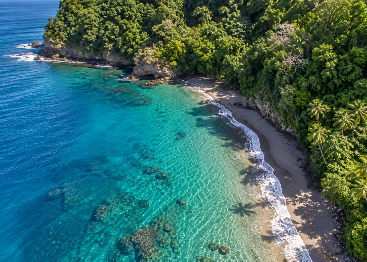 Anse Couleuvre en Martinique vue du ciel, avec sa plage de sable noir, ses eaux turquoise, ses falaises rocheuses et la forêt tropicale luxuriante.