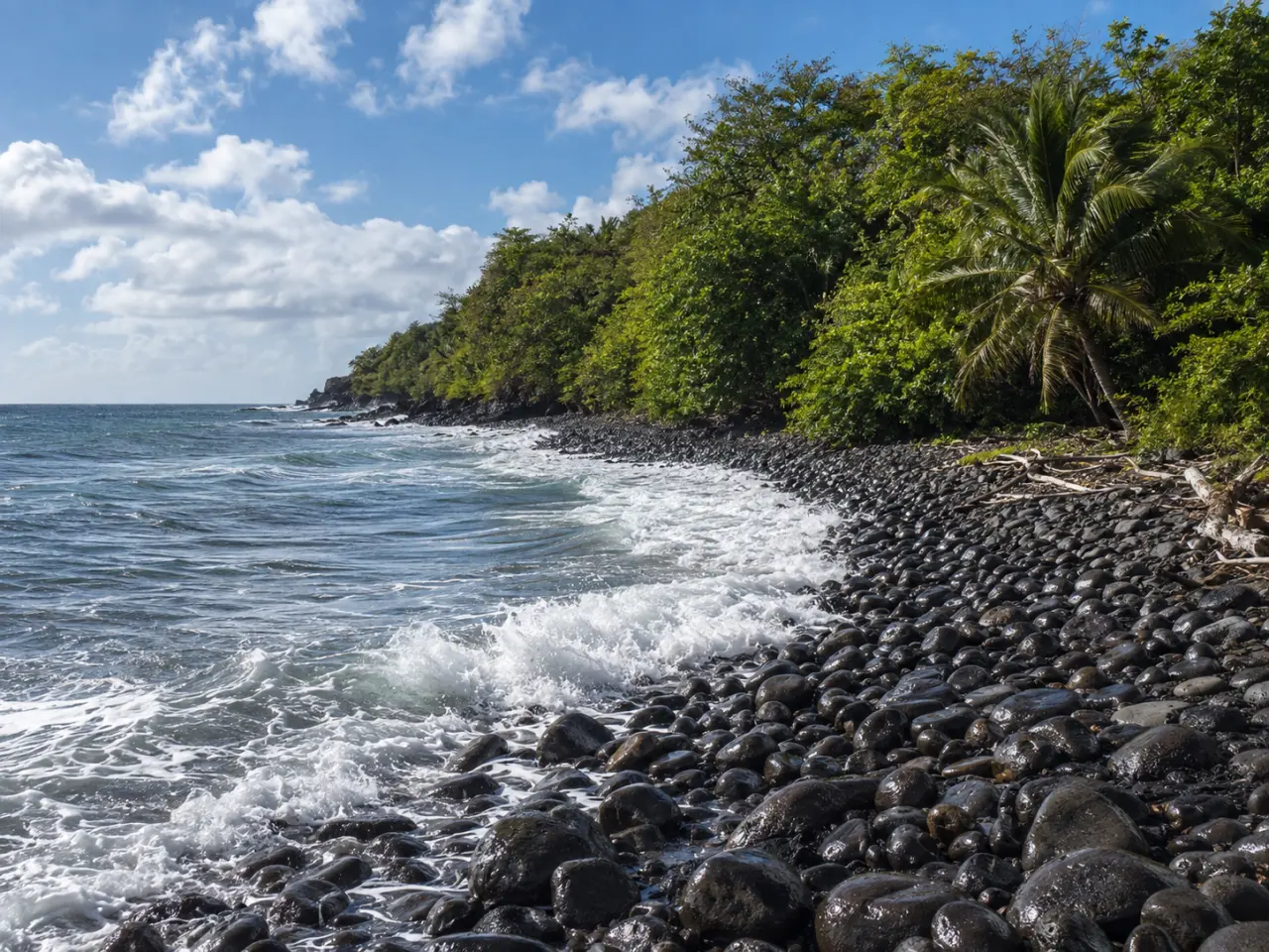 Vue côtière sauvage de l'Anse Duquerry à Trois-Rivières en Guadeloupe, montrant une plage de gros galets noirs volcaniques luisants, bordée par une mer agitée à l'écume blanche et une forêt tropicale dense avec des cocotiers.