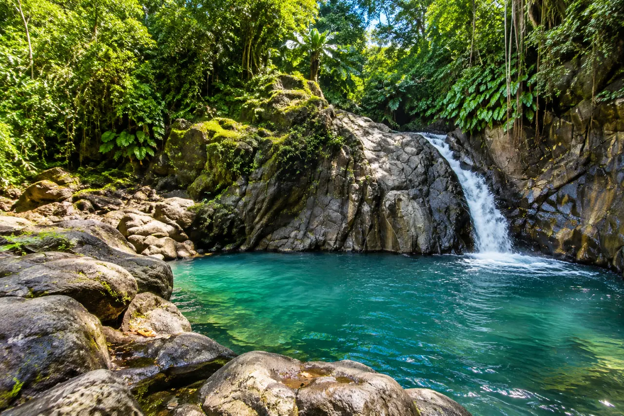 Bassin naturel en Guadeloupe avec cascade et eau turquoise au cœur de la forêt tropicale.