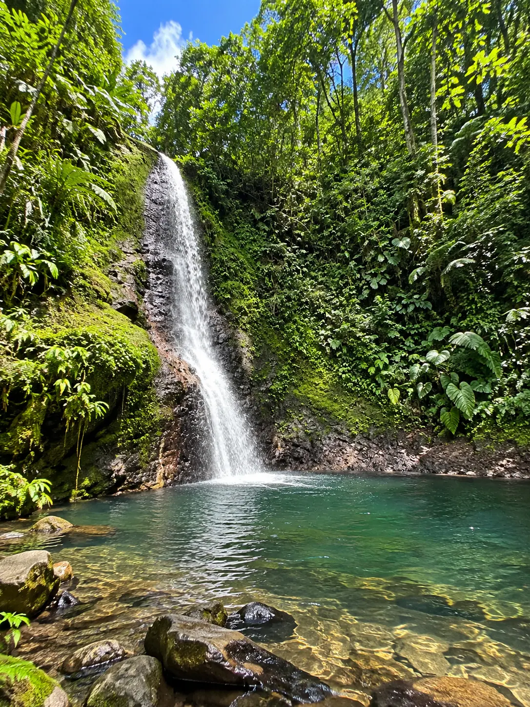 Cascade Bois Banane en Guadeloupe, chute d’eau tropicale et bassin naturel au cœur de la forêt luxuriante.