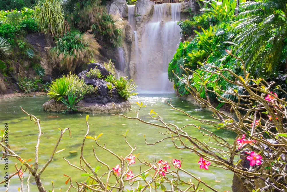 Cascade artificielle s'écoulant dans un bassin verdoyant au Jardin Botanique de Deshaies en Guadeloupe, entourée d'une végétation tropicale luxuriante et de fleurs roses au premier plan.