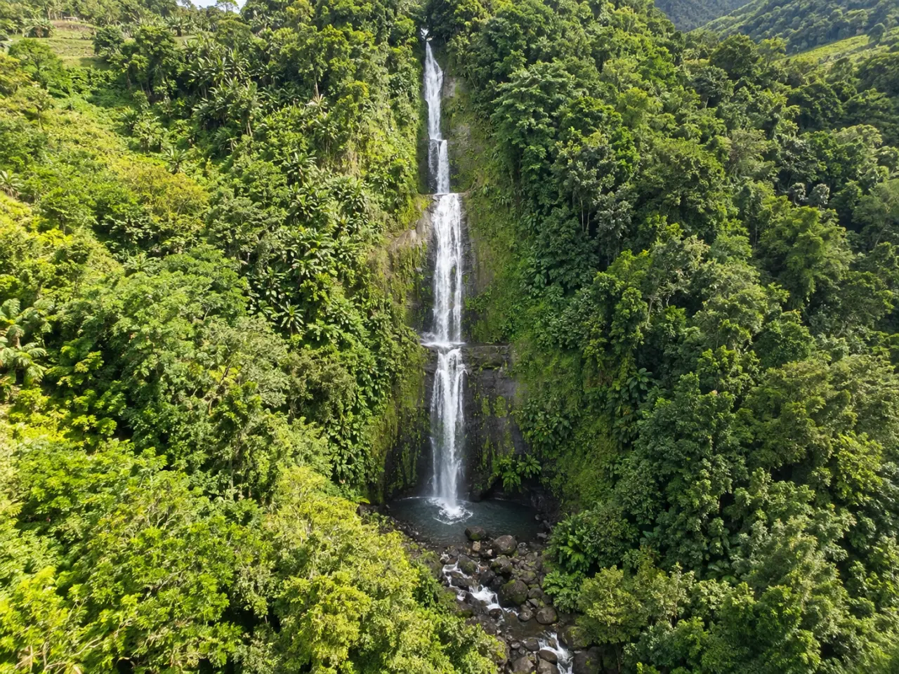 Cascade Moreau en Guadeloupe, vue aérienne sur la haute chute d’eau au cœur de la forêt tropicale de Basse-Terre.