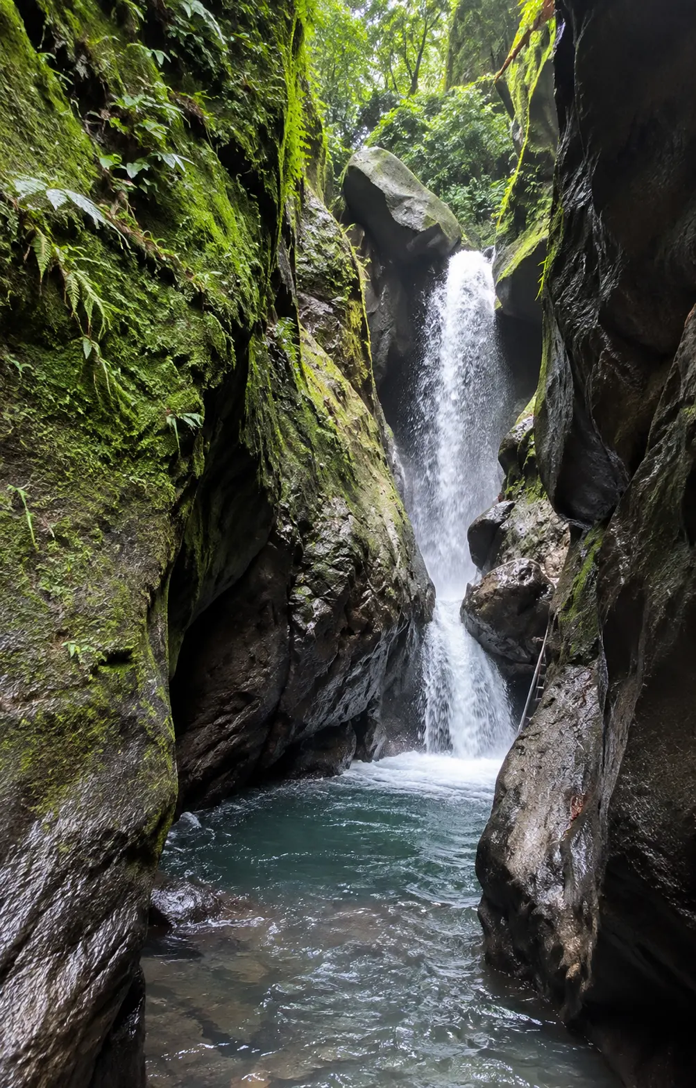 Cascade tropicale en Martinique au cœur d’une gorge rocheuse couverte de mousse, avec une chute d’eau se jetant dans un bassin naturel.