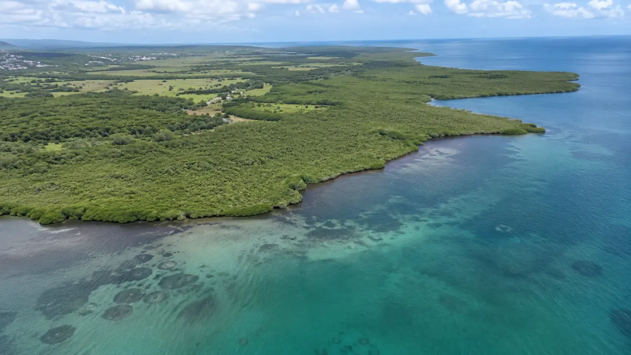 Pointe de la Rose en Guadeloupe, vue aérienne sur la mangrove, le littoral et les eaux turquoise de la Grande-Terre