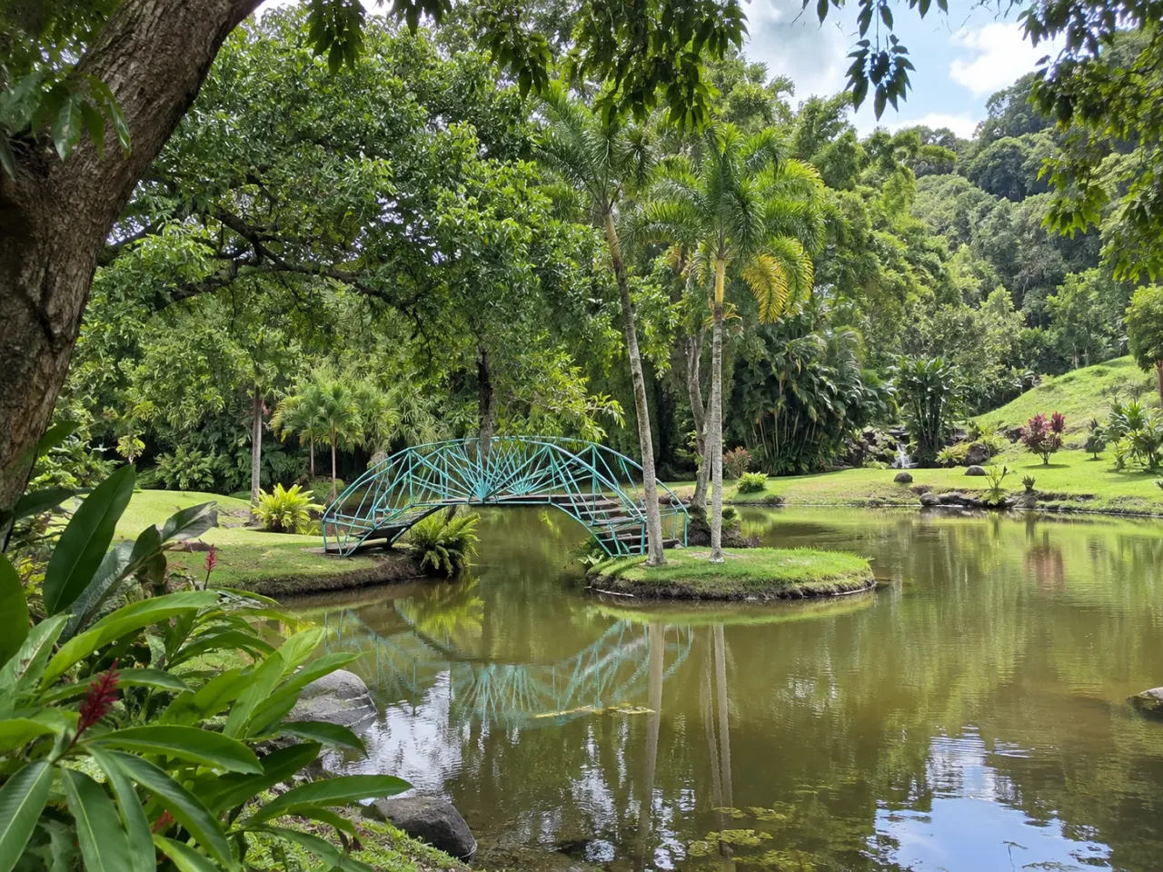 Jardin d’eau de Blonzac en Guadeloupe, passerelle turquoise au-dessus du bassin entourée de végétation tropicale