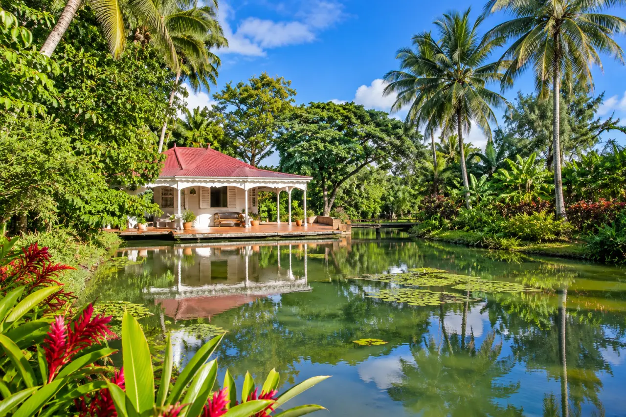 Jardin tropical de Guadeloupe avec bassin d’eau, maison créole, palmiers et végétation luxuriante sous un ciel bleu.