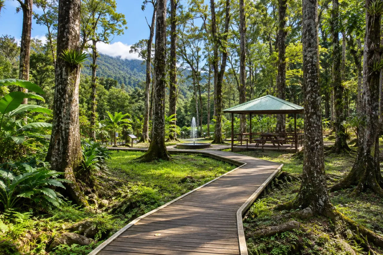 Parc tropical de Martinique avec sentier en bois, forêt humide, grands arbres, végétation luxuriante et espace de détente.