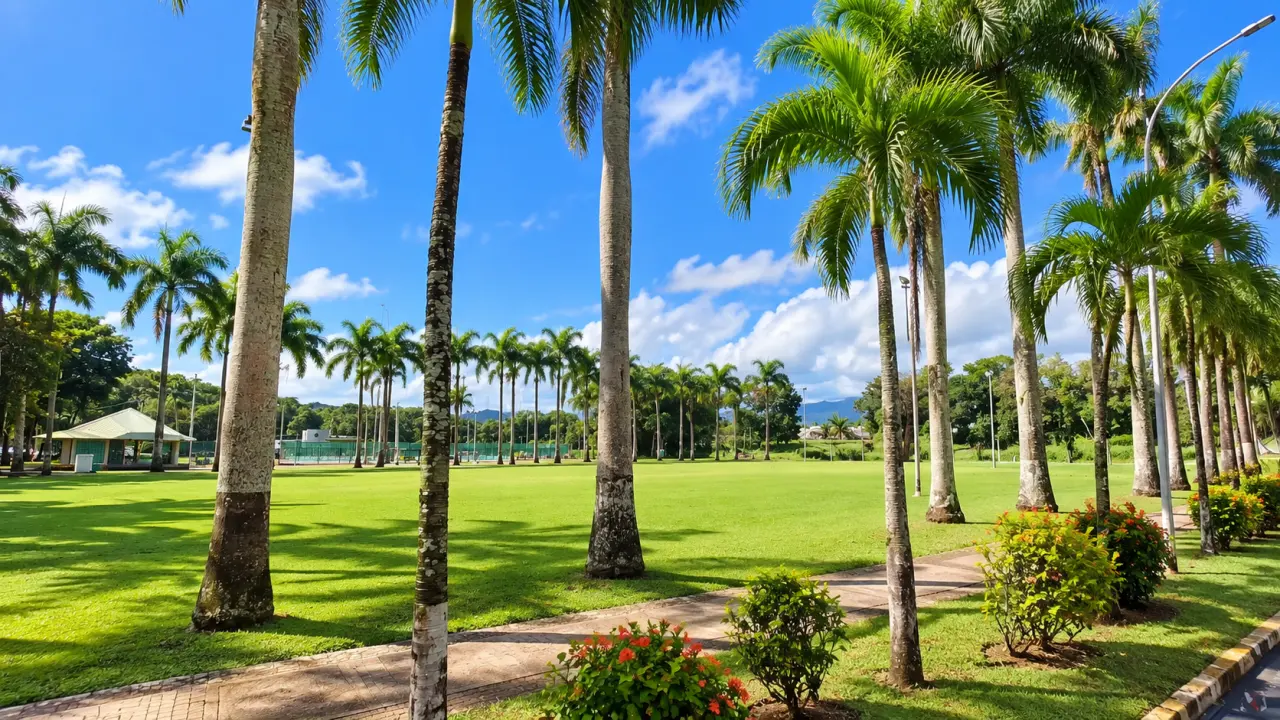 Parc tropical en Guadeloupe avec allée de palmiers, pelouse paysagée et terrains de sport sous un ciel bleu.