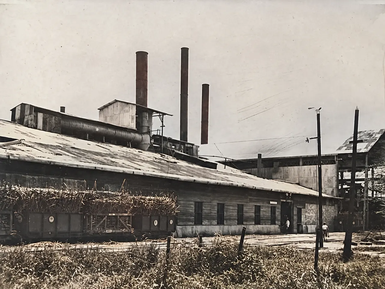 Photo d’archive d’une ancienne usine sucrière en Martinique, avec bâtiments industriels, hautes cheminées et installations de production de l’époque.