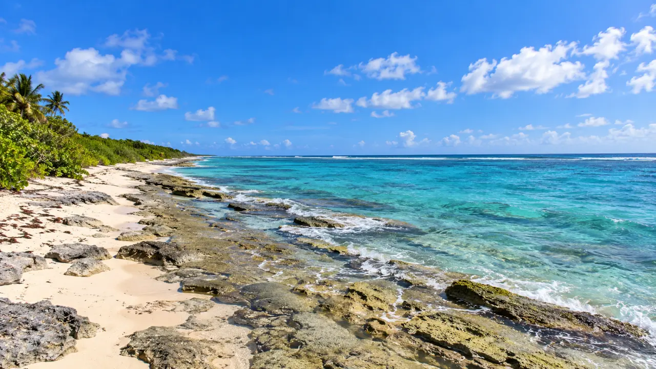 Plage de Capesterre-de-Marie-Galante en Guadeloupe avec sable blanc, eaux turquoise, récif corallien et végétation tropicale.