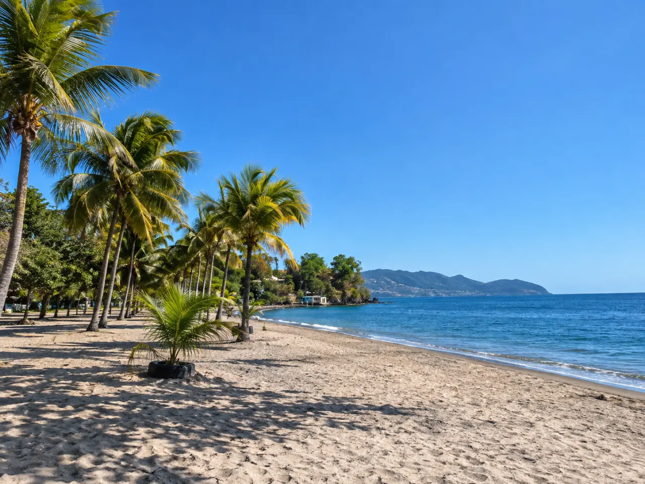 Plage de Madiana à Schœlcher en Martinique, avec ses palmiers, son sable clair, ses eaux bleues et les montagnes de la côte martiniquaise en arrière-plan.