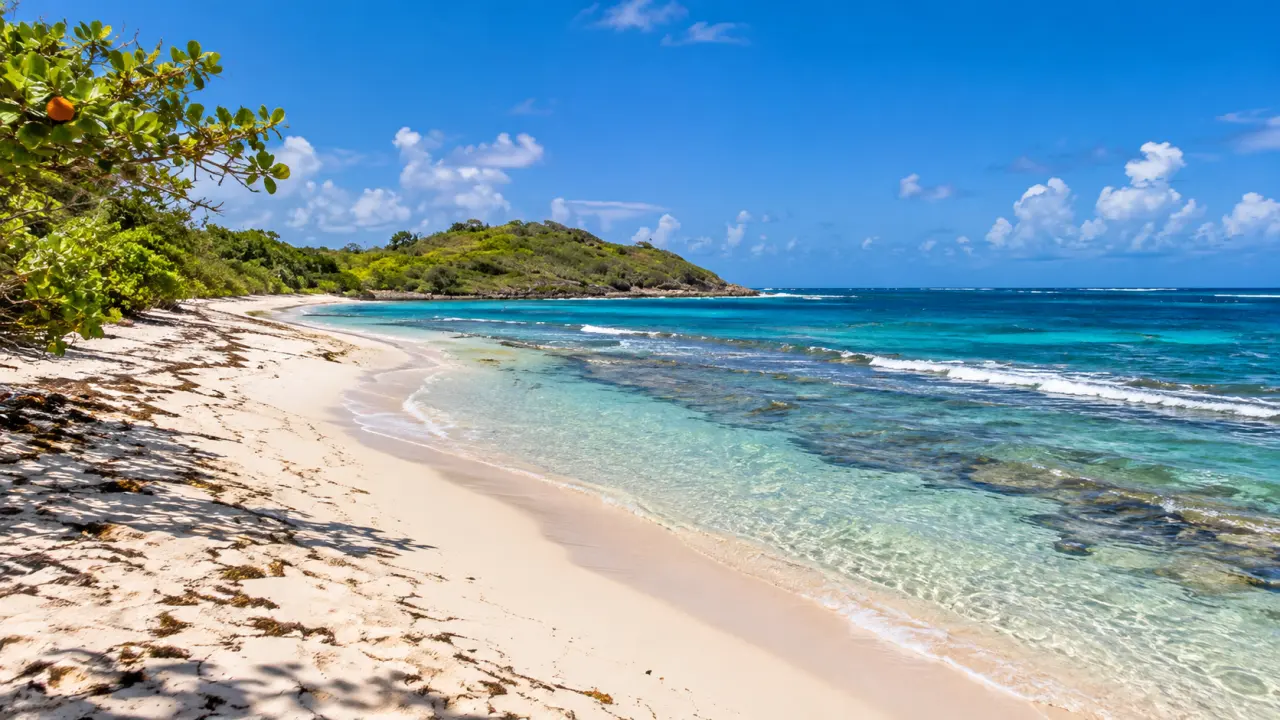 Plage de sable blanc au Robert en Martinique bordée d'eaux turquoise, de récifs coralliens et d'une végétation tropicale.