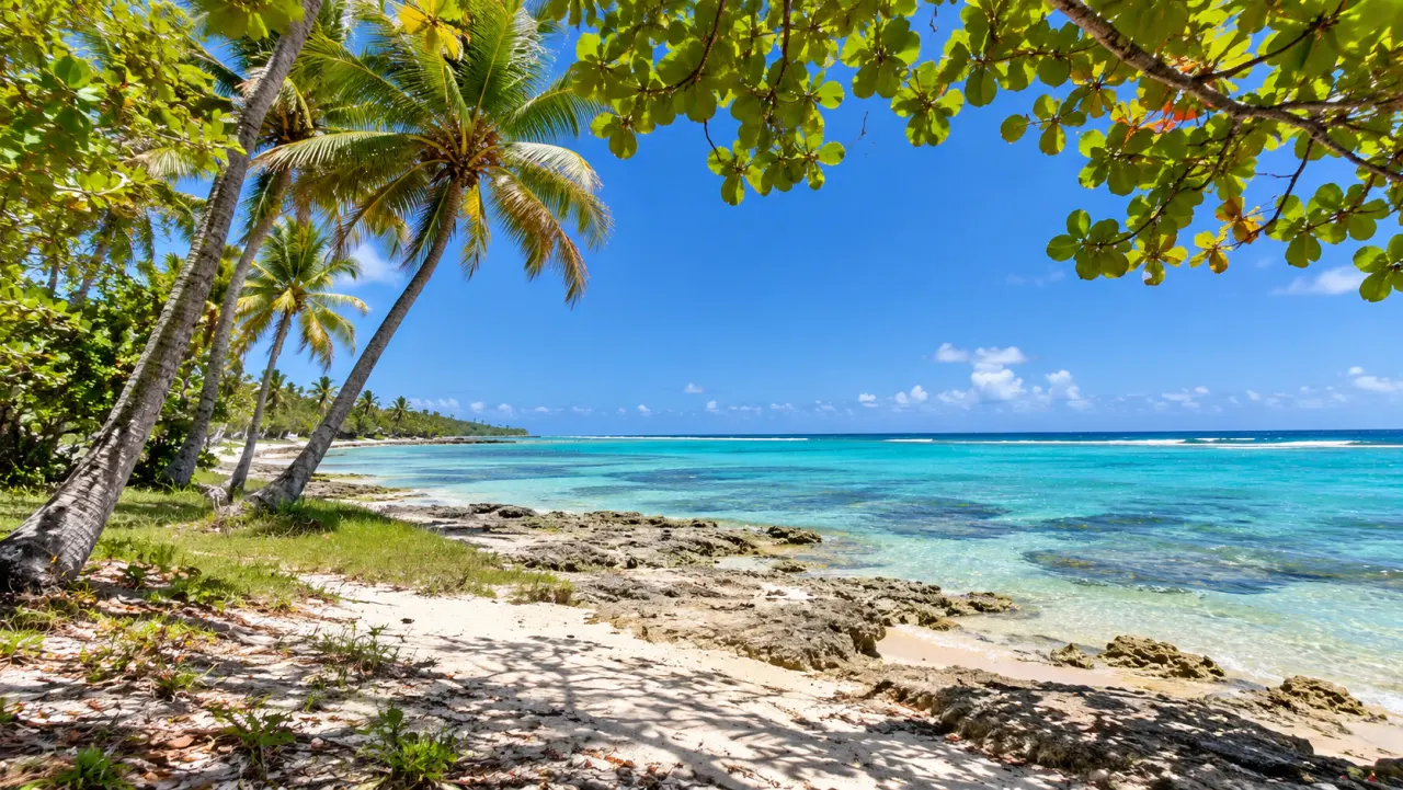 Plage tropicale de Guadeloupe bordée de cocotiers, sable blanc, eaux turquoise et récif corallien sous un ciel bleu.