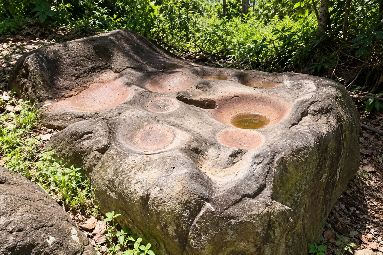 Rocher à cupules de Martinique, pierre gravée de cavités circulaires au cœur de la végétation tropicale.