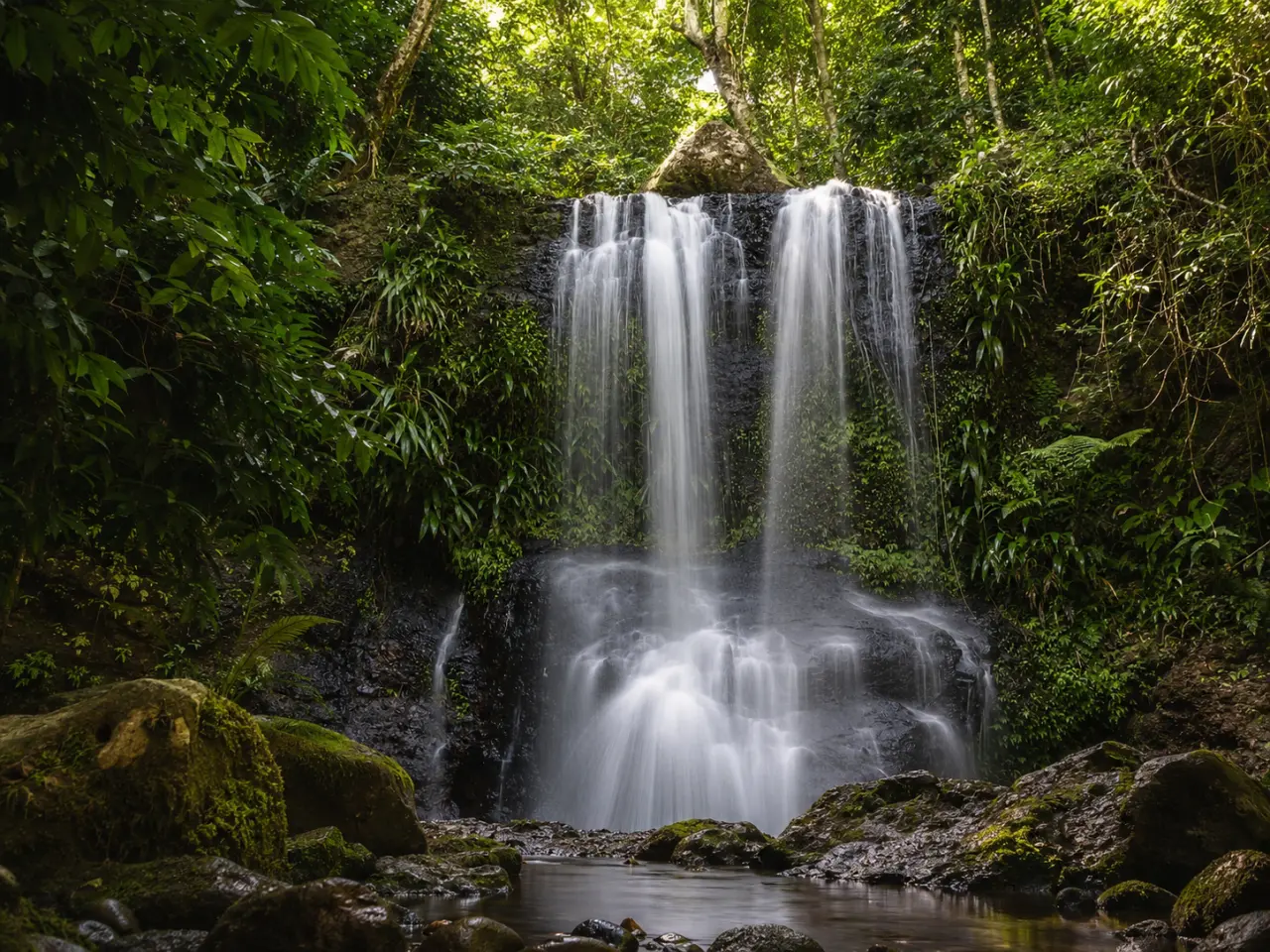 Chute d'eau du Saut des Trois Cornes à Sainte-Rose en Guadeloupe, montrant un flot vertical d'eau vive se déversant sur des roches noires dans un bassin calme, entouré d'une végétation forestière tropicale humide et de rochers moussus au premier plan.