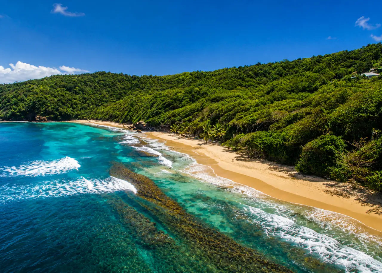 Vue aérienne du spot de surf de Tartane à La Trinité en Martinique, montrant les vagues et la plage sauvage.