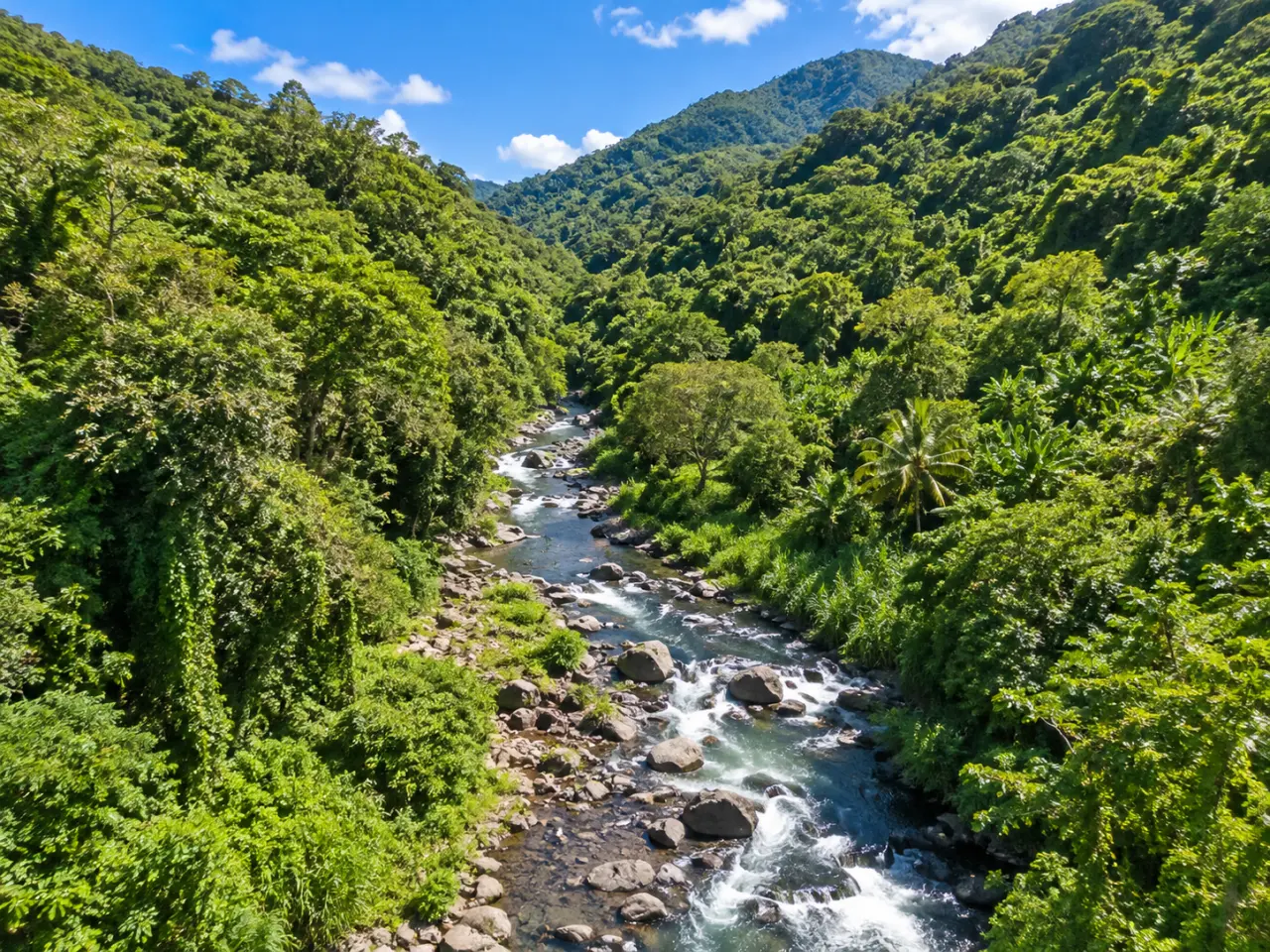 Vallée de Grande Rivière à Vieux-Habitants en Guadeloupe, rivière tropicale au cœur d'une forêt luxuriante.
