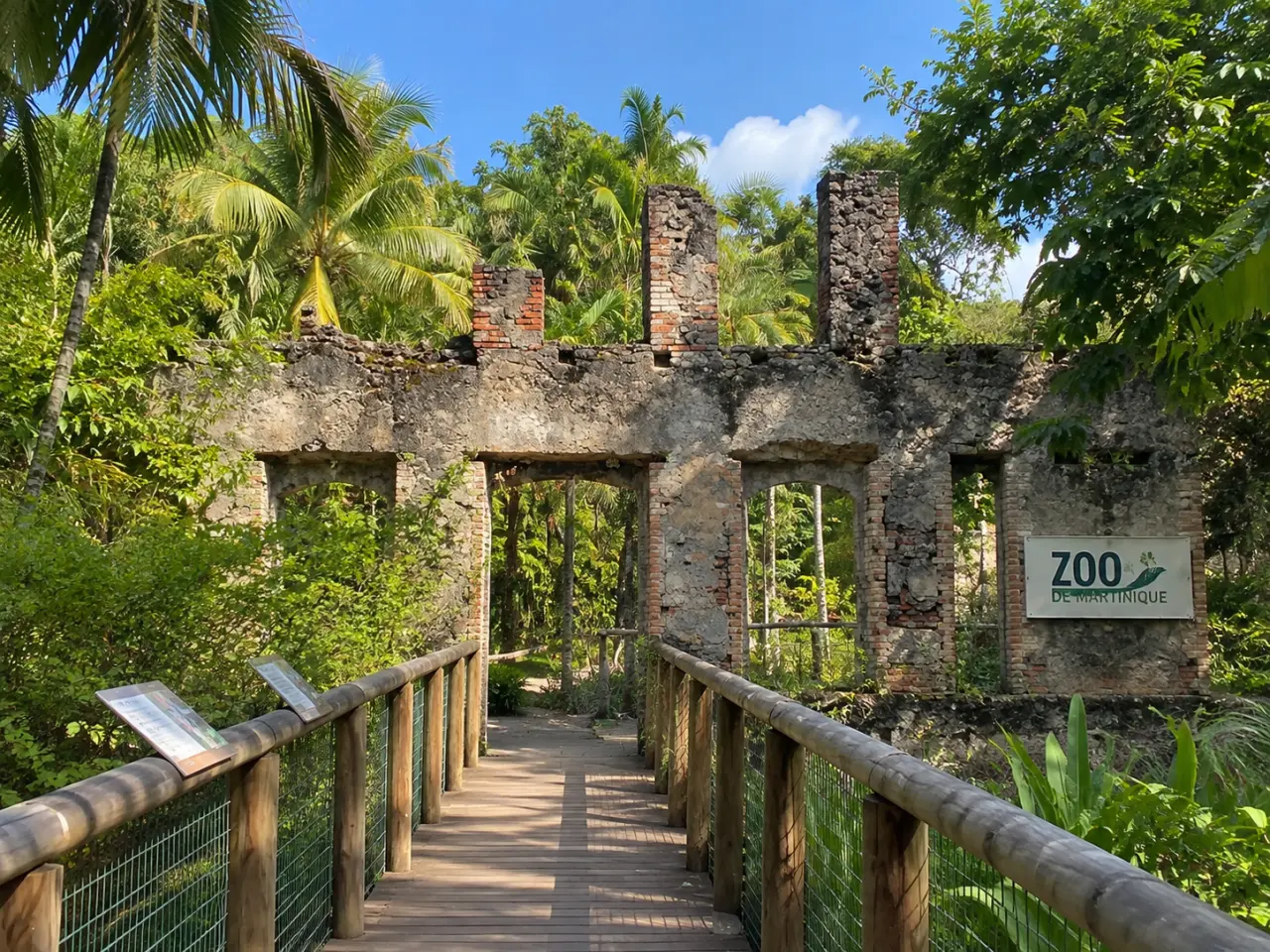 Zoo de Martinique, passerelle en bois traversant les ruines historiques de l’Habitation Latouche au cœur d’une végétation tropicale luxuriante.