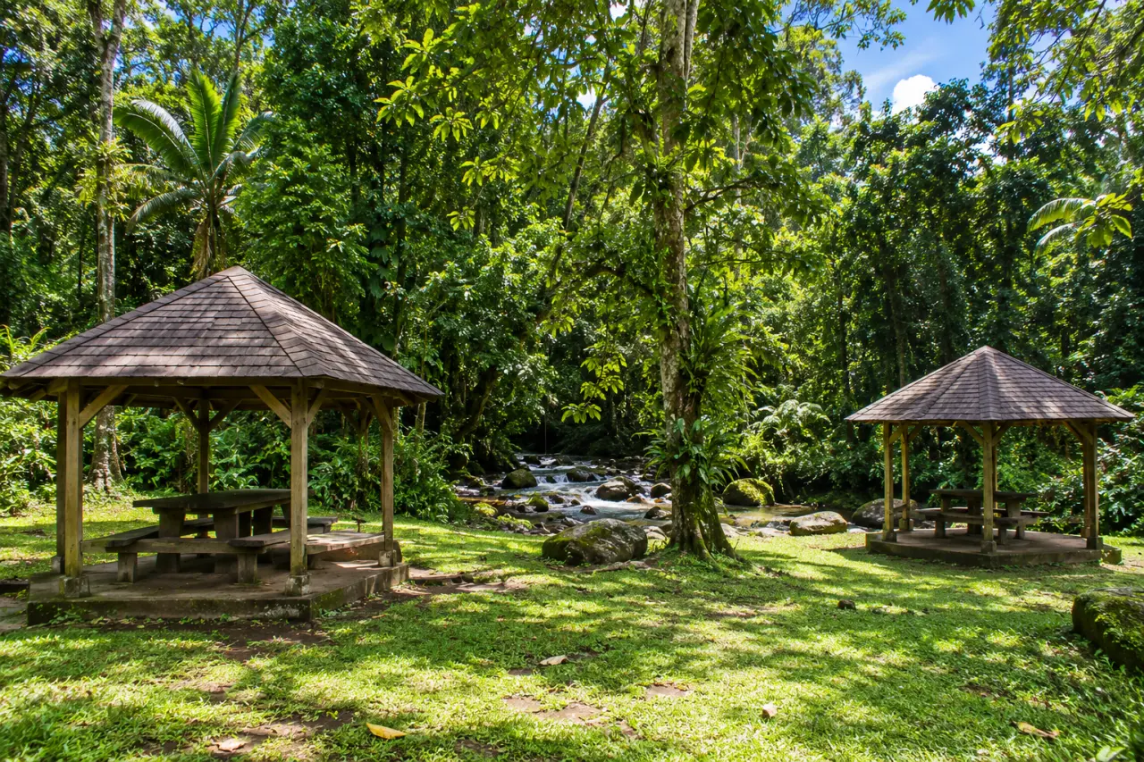 Bras-David à Petit-Bourg en Guadeloupe, carbets en bois au bord d’une rivière au cœur de la forêt tropicale.