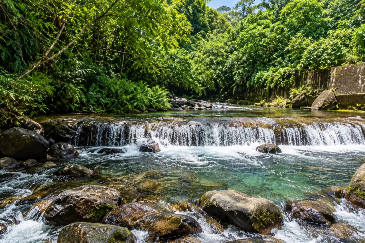 Cascade naturelle en Martinique au cœur de la forêt tropicale, rivière aux eaux claires bordée de rochers et de végétation luxuriante.