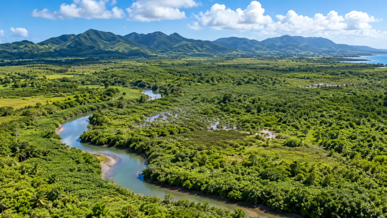 Paysage aérien de Martinique avec rivière sinueuse traversant une vaste zone humide tropicale, végétation luxuriante et montagnes en arrière-plan.