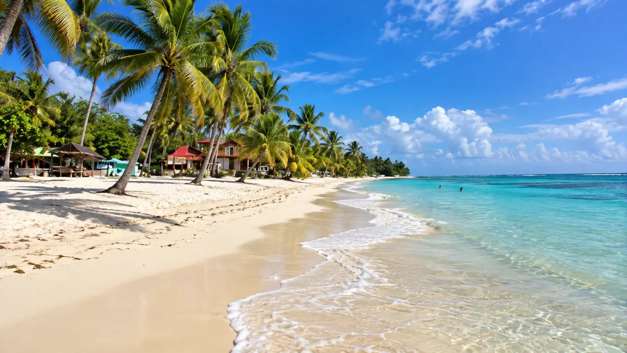 Plage tropicale de Marie-Galante en Guadeloupe avec sable blanc, cocotiers, eaux turquoise et récif corallien.
