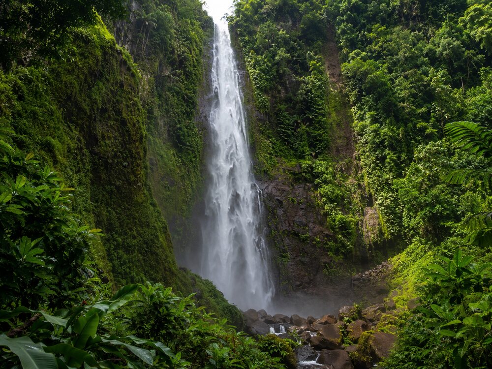 Chutes du Carbet avec sa verdure tropicale et ses rochers.