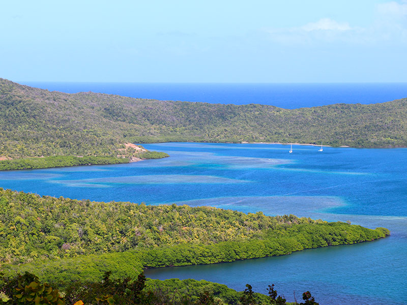 Baie des Anglais à Sainte-Anne en Martinique : lagon bleu vif entouré de collines verdoyantes sauvages et de mangroves.