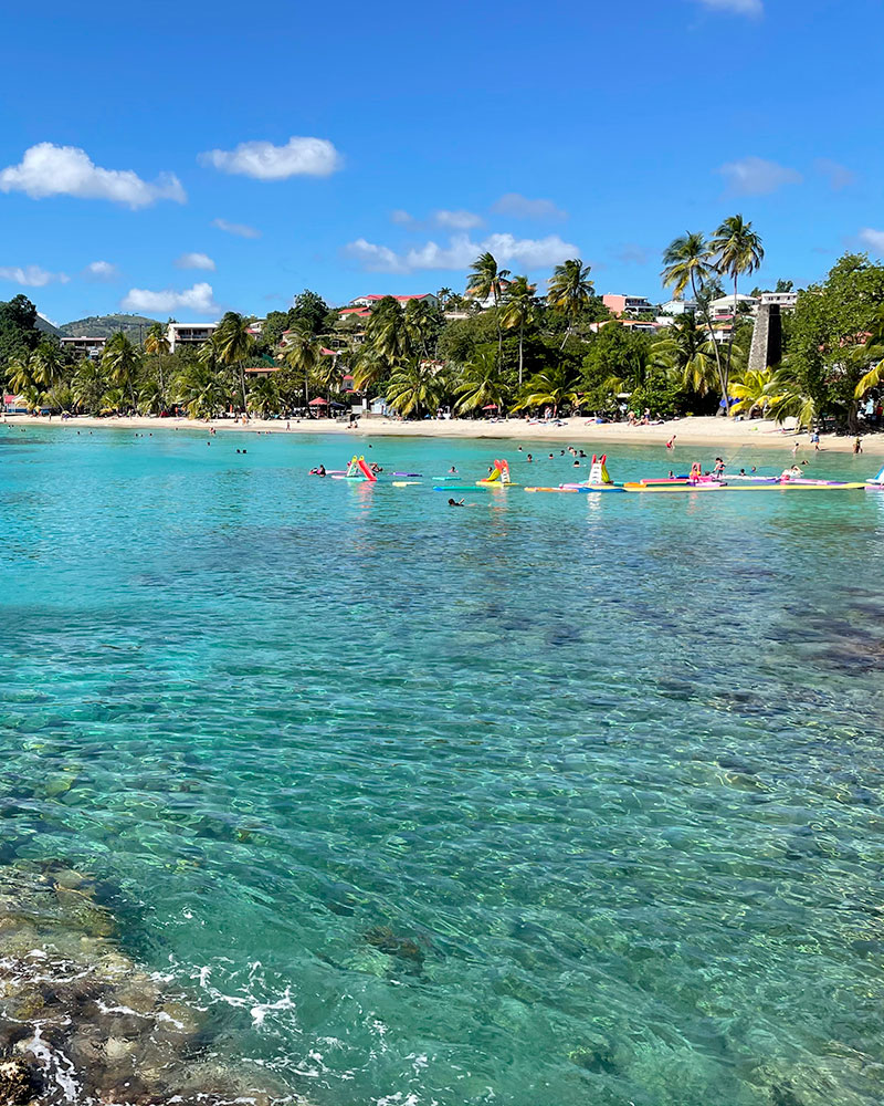 Anse Figuier - Sainte luce - Martinique