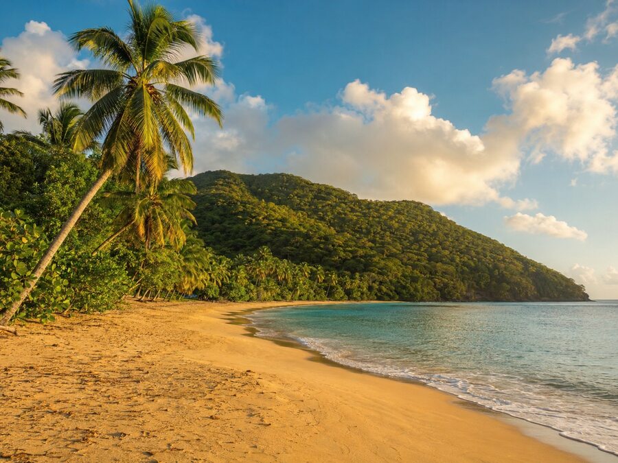 plage de Grande Anse à Deshaies sous un soleil tropical.