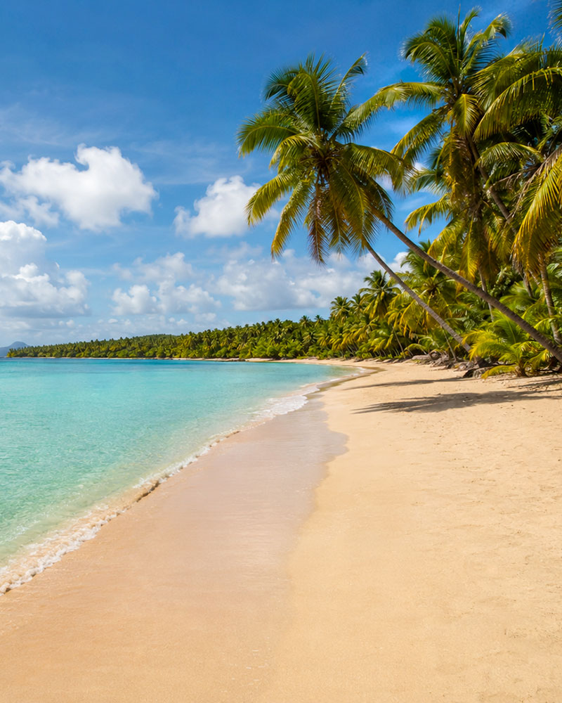 Grande anse des salines, Sainte-Anne, Martinique