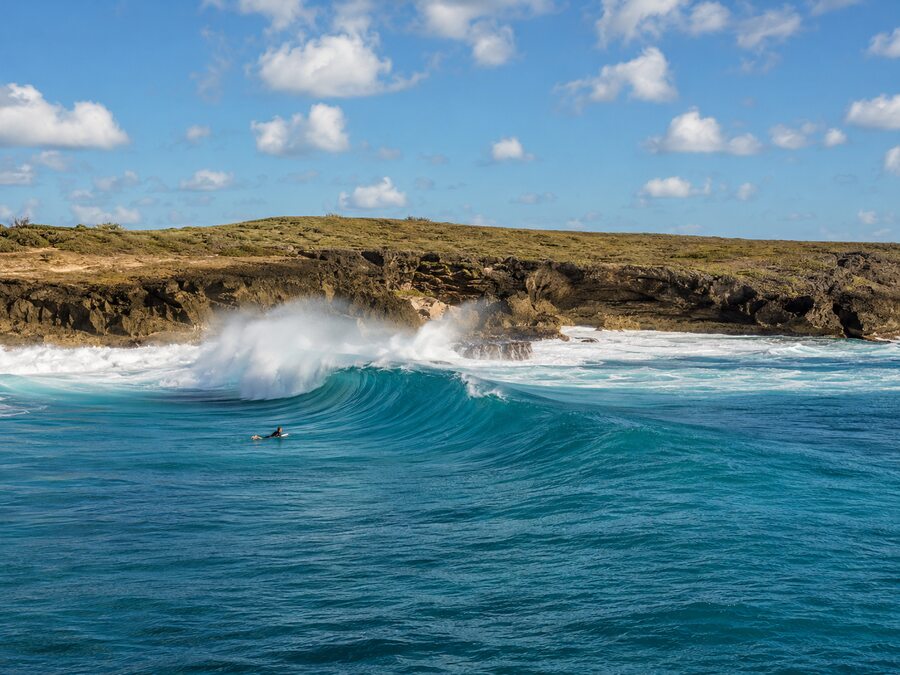 plage coté vents avec une vague et surfeur dans l'eau.