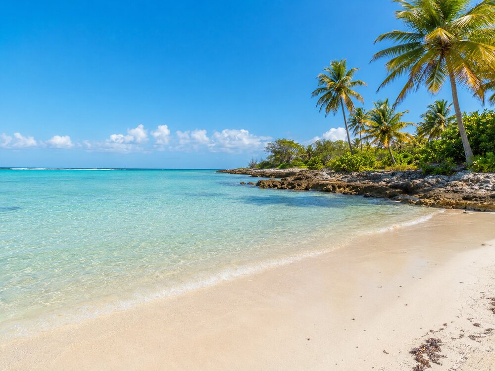 plage calme en Grande-Terre avec des cocotier et sable fin , guadeloupe