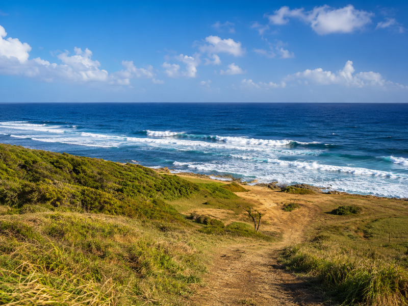 Paysage côtier sauvage de l'Anse Salabouelle au Moule, en Guadeloupe, montrant un sentier de terre qui descend à travers des collines verdoyantes vers une mer bleue agitée avec de l'écume blanche sous un ciel ensoleillé.