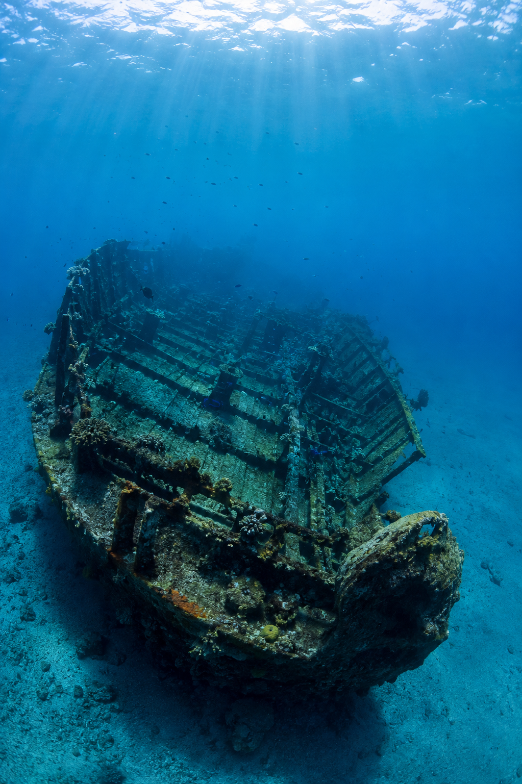 Épave du navire Roraima coulée dans les eaux bleues de la baie de Saint-Pierre en Martinique, colonisée par la vie marine.