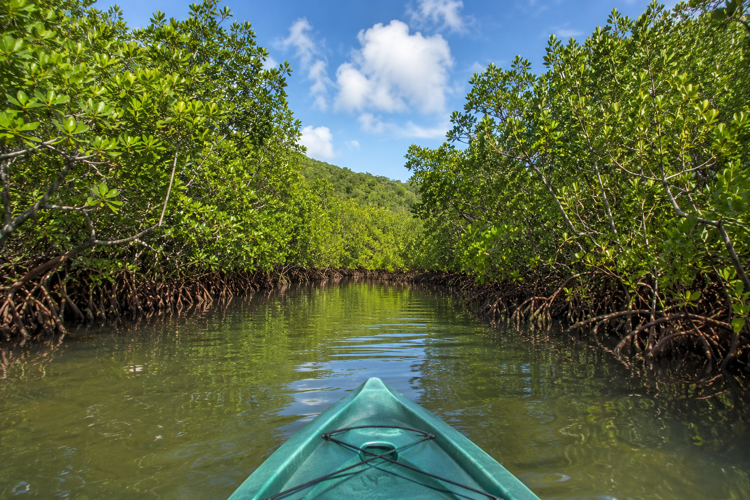 Balade en kayak dans la mangrove de Vieux-Bourg en Guadeloupe, au cœur du Grand Cul-de-Sac Marin