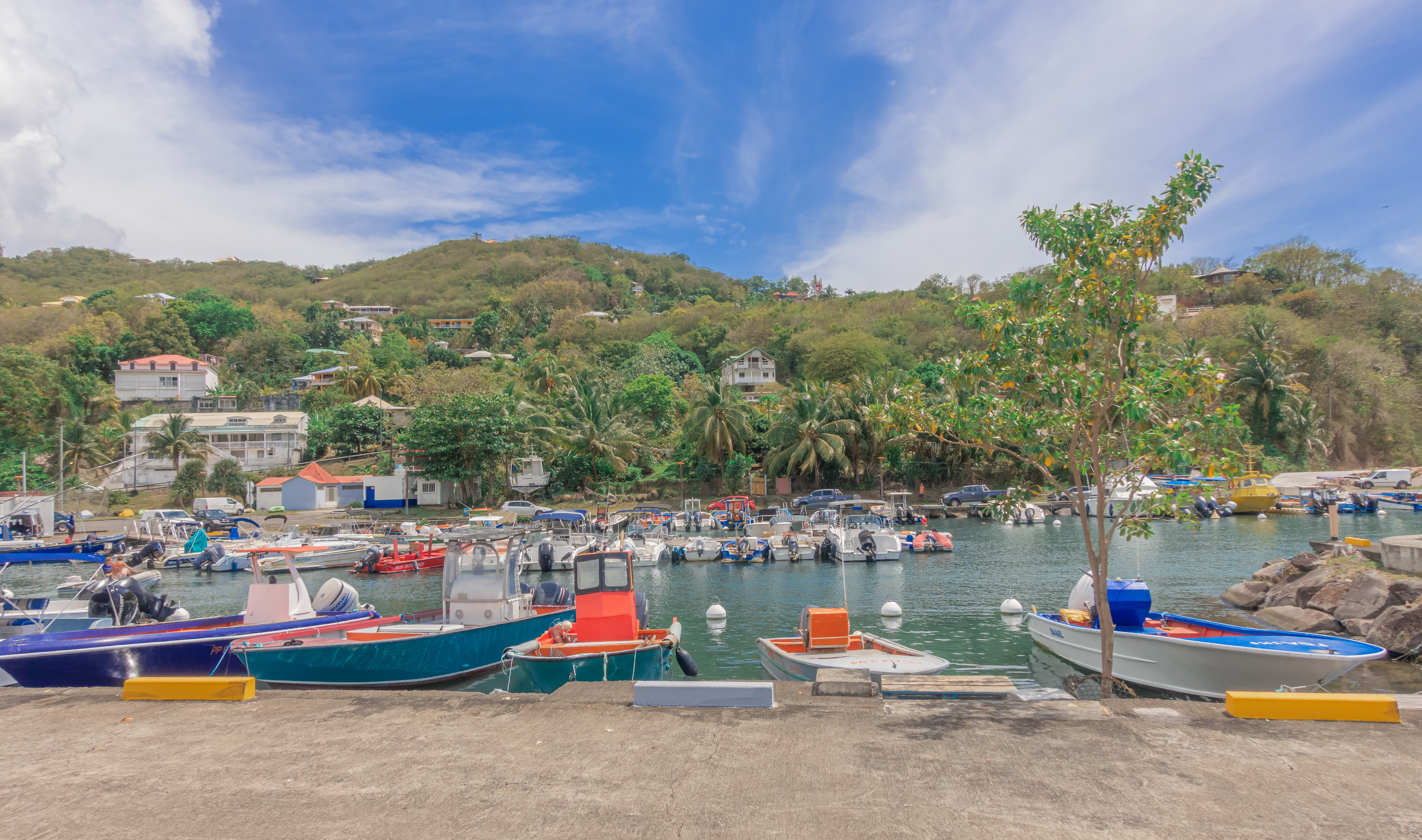 Vue depuis le quai du port de pêche de Deshaies en Guadeloupe, montrant des embarcations colorées amarrées à flot, une eau calme abritant de nombreux bateaux, des collines verdoyantes parsemées de maisons en arrière-plan sous un ciel nuageux.