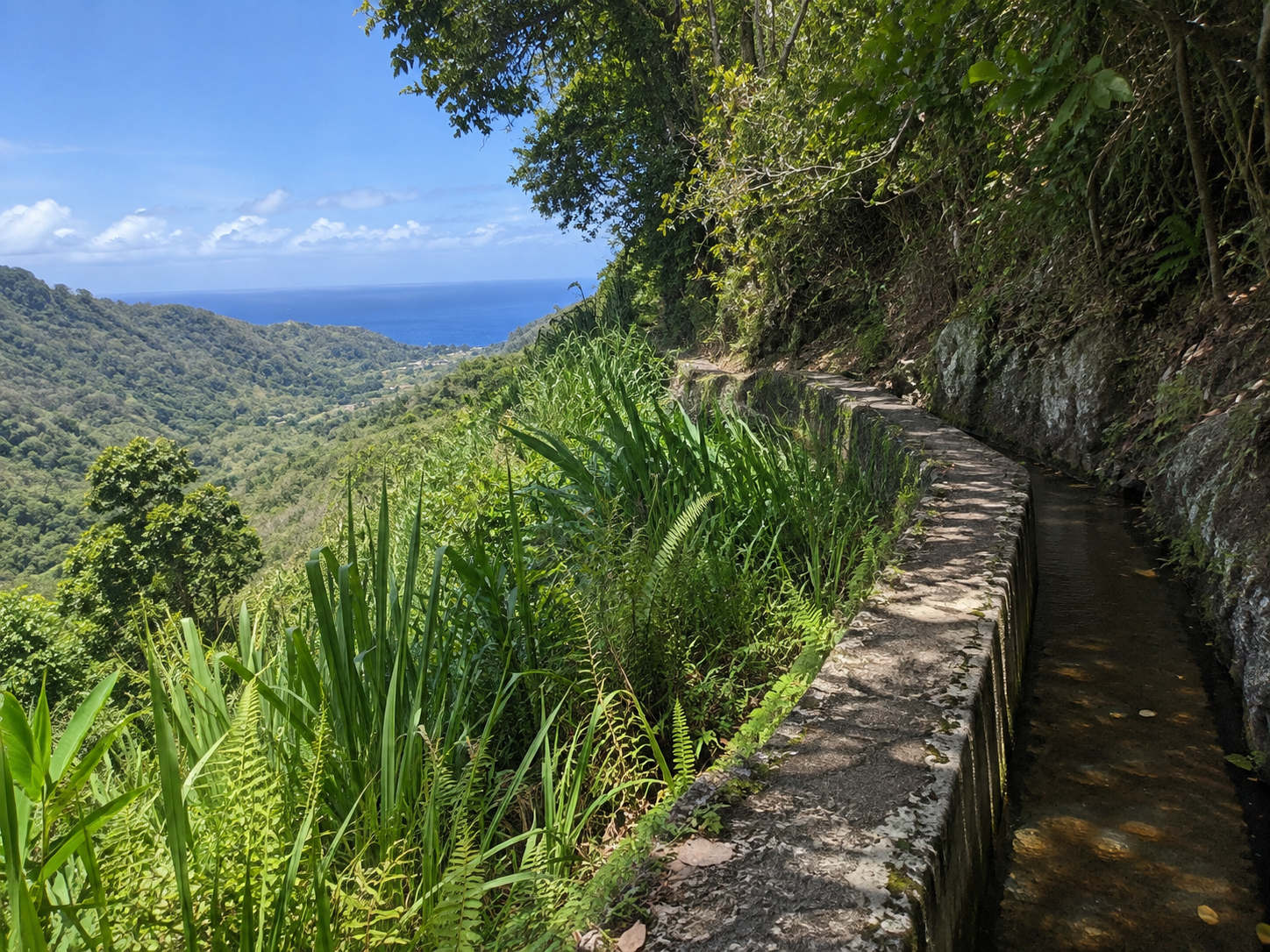 Canal de Beauregard à Fonds-Saint-Denis en Martinique, sentier au bord du canal avec végétation tropicale et vue sur les montagnes et la mer.