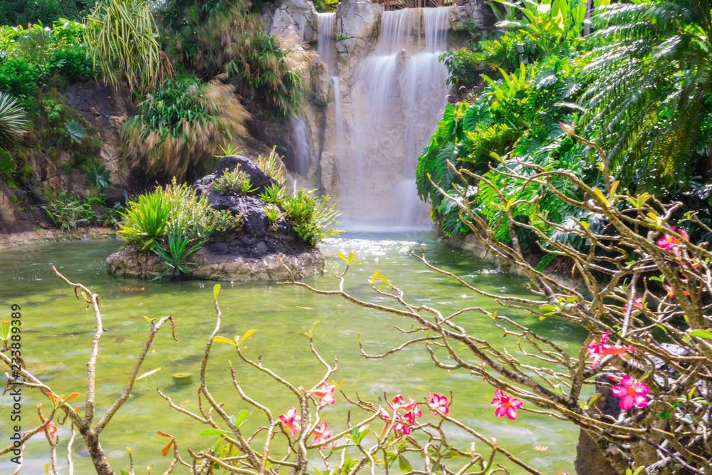 Cascade artificielle s'écoulant dans un bassin verdoyant au Jardin Botanique de Deshaies en Guadeloupe, entourée d'une végétation tropicale luxuriante et de fleurs roses au premier plan.