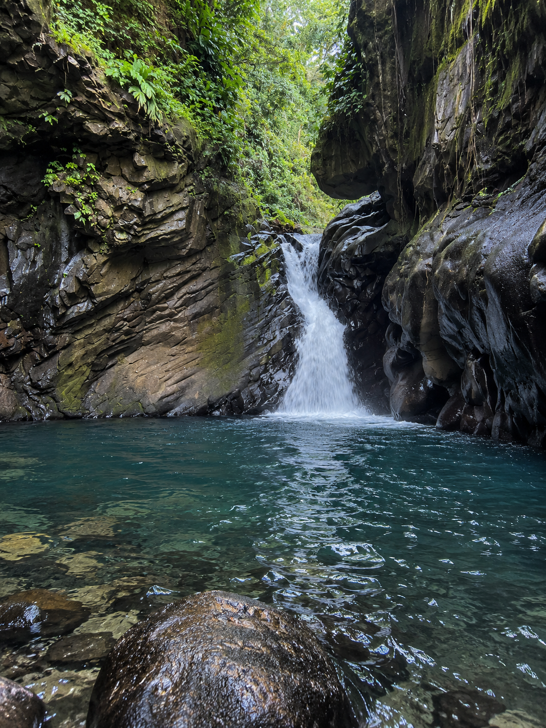 Cascade naturelle dans une gorge volcanique de la Guadeloupe, bassin turquoise au cœur de la forêt tropicale.
