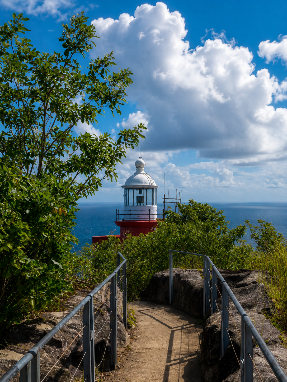 Sentier de randonnée menant au phare de la Caravelle à La Trinité en Martinique, avec l'océan en arrière-plan.