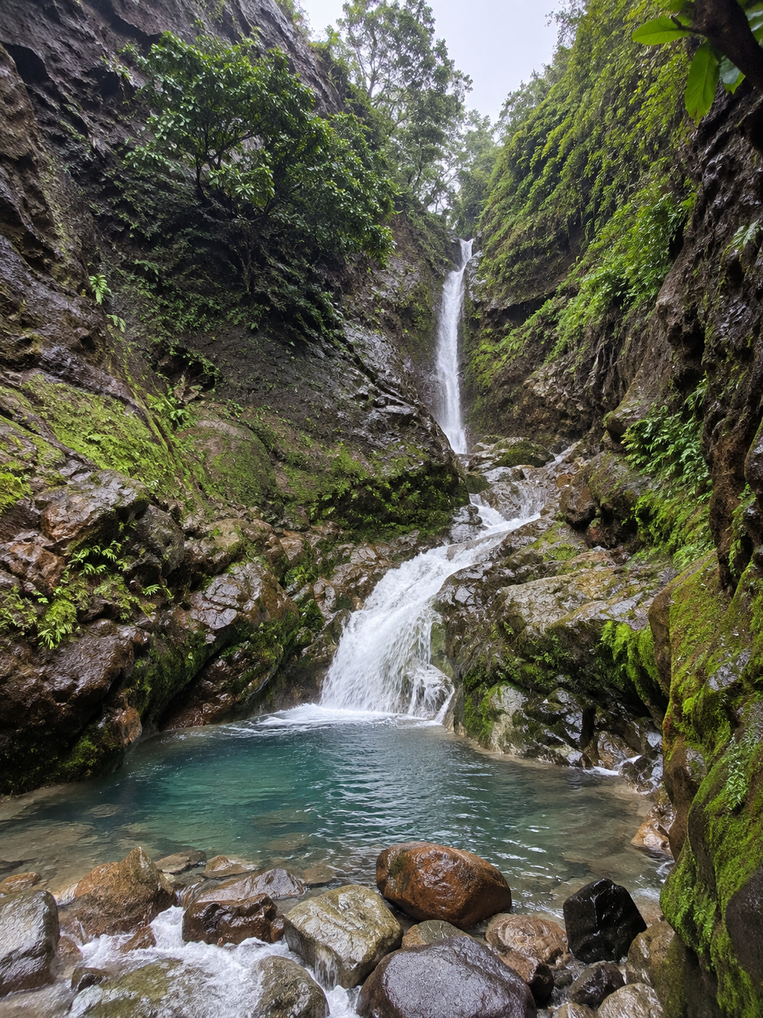 Chute du Gallion en Guadeloupe, cascade tropicale au cœur d’une gorge rocheuse couverte de végétation luxuriante.