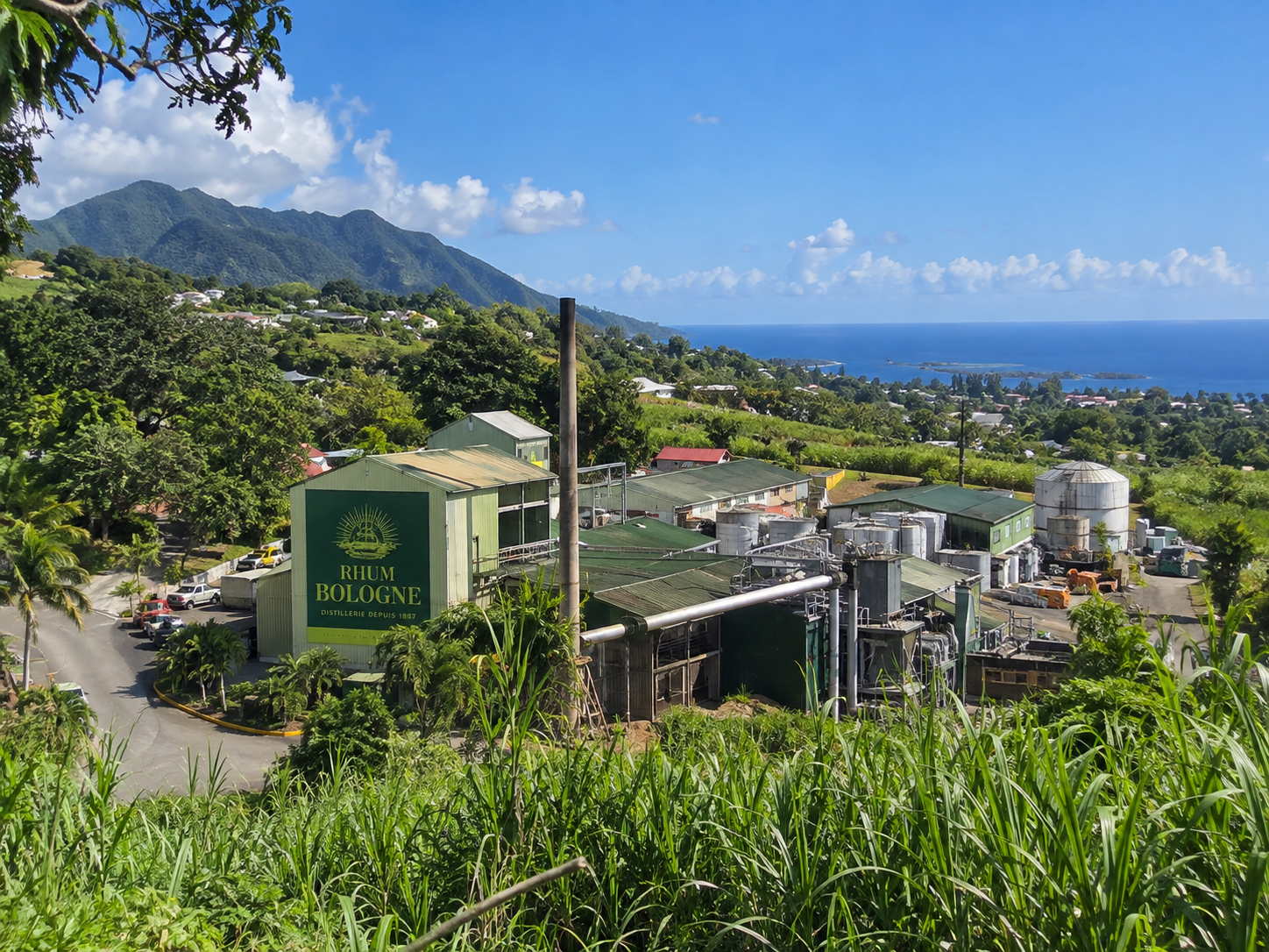 Distillerie Bologne à Baillif en Guadeloupe, entourée de champs de canne à sucre avec vue sur la mer des Caraïbes et les montagnes.