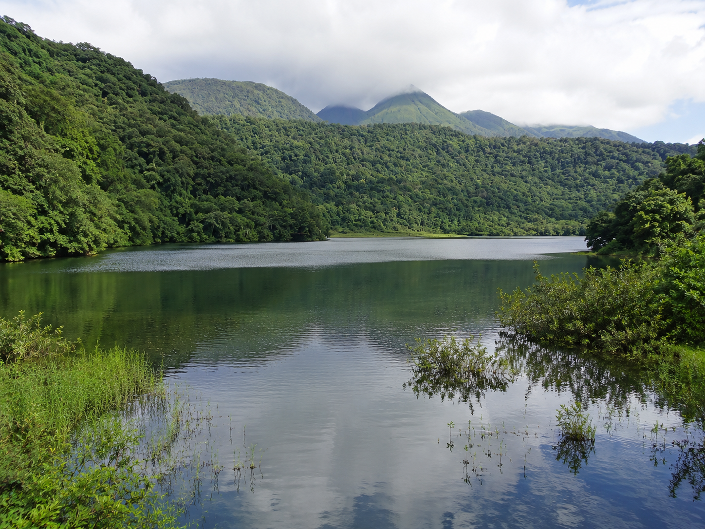 Vue du Grand Étang en Guadeloupe, un lac de montagne niché dans une forêt tropicale luxuriante sous un ciel couvert et nuageux, avec des plantes aquatiques au premier plan.