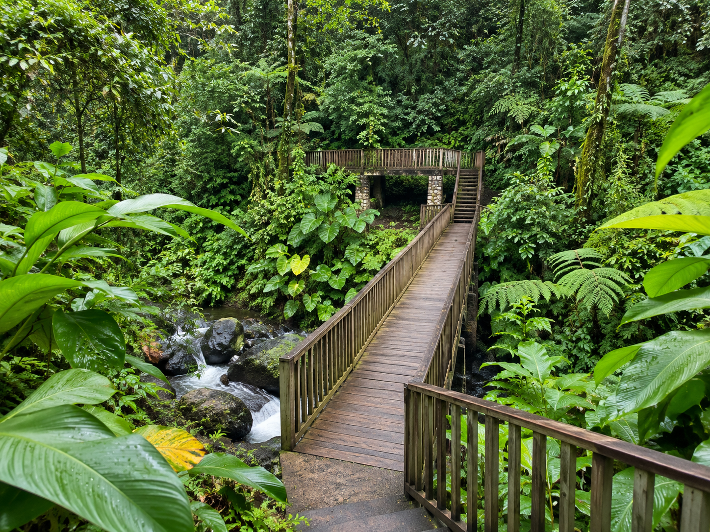Passerelle en bois au cœur de la forêt tropicale du Parc national de la Guadeloupe, rivière et végétation luxuriante.