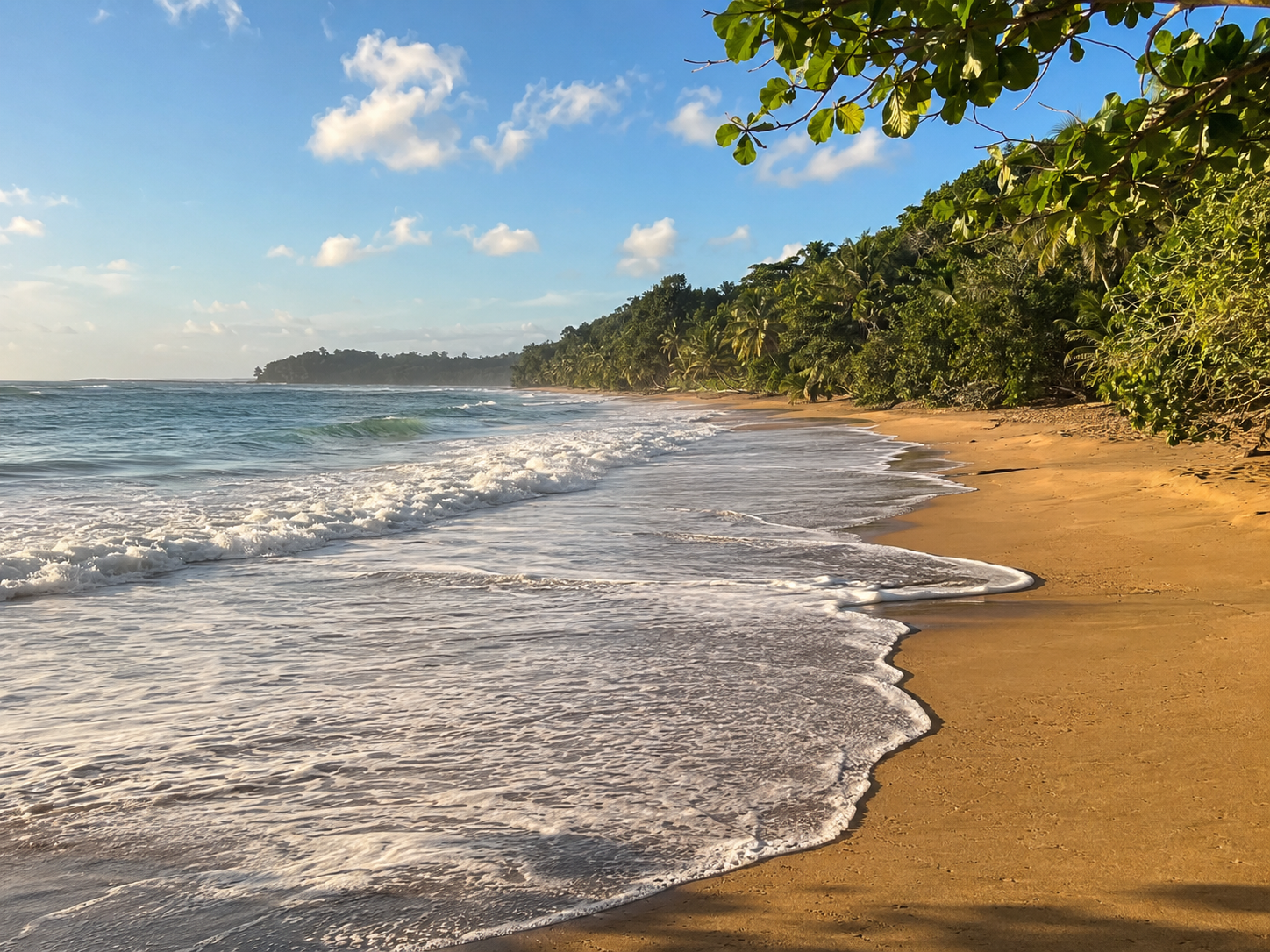 Vue en perspective de la plage de Clugny à Sainte-Rose en Guadeloupe, montrant de larges rouleaux de vagues à l'écume blanche se brisant sur une étendue de sable doré, bordée par une végétation forestière dense s'avançant vers une pointe rocheuse au loin.